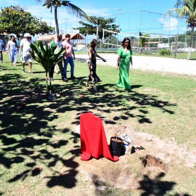 [OAB-BA planta baobá em homenagem a Esperança Garcia no Clube dos Advogados ]