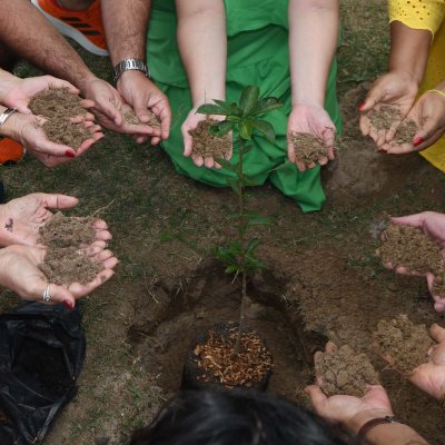 [OAB-BA planta baobá em homenagem a Esperança Garcia no Clube dos Advogados ]