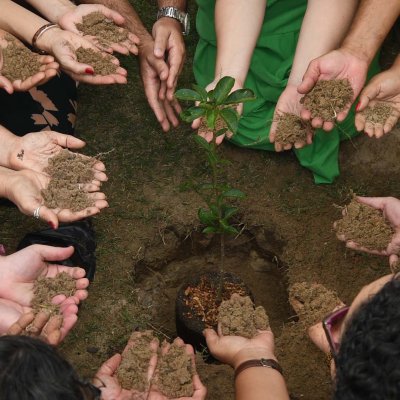 [OAB-BA planta baobá em homenagem a Esperança Garcia no Clube dos Advogados ]