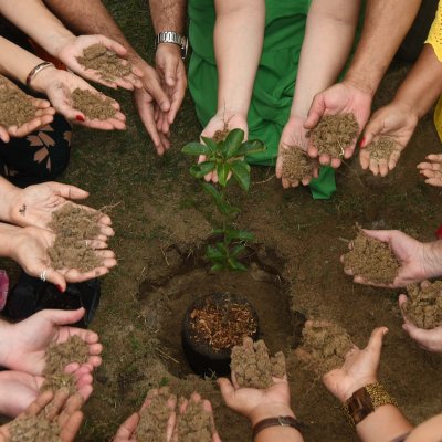 [OAB-BA planta baobá em homenagem a Esperança Garcia no Clube dos Advogados ]