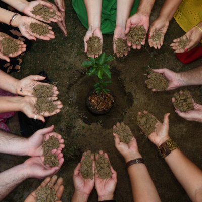 [OAB-BA planta baobá em homenagem a Esperança Garcia no Clube dos Advogados ]