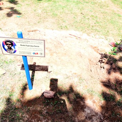 [OAB-BA planta baobá em homenagem a Esperança Garcia no Clube dos Advogados ]