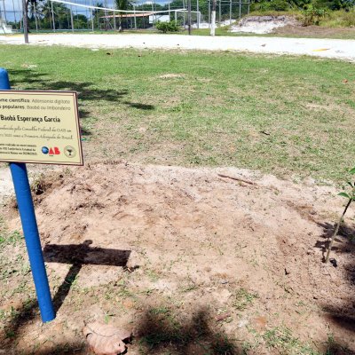 [OAB-BA planta baobá em homenagem a Esperança Garcia no Clube dos Advogados ]