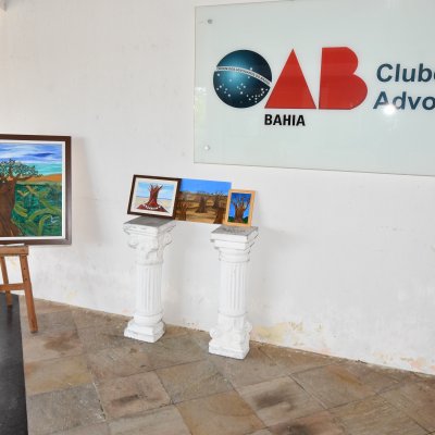 [OAB-BA planta baobá em homenagem a Esperança Garcia no Clube dos Advogados ]