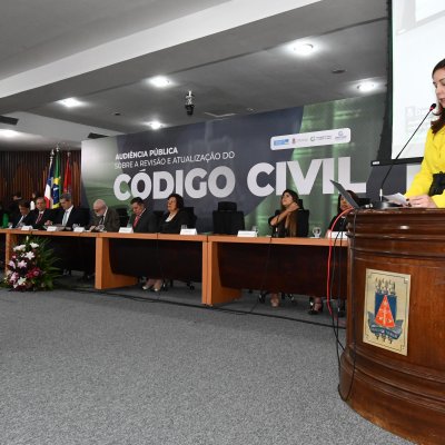 [Audiência Pública sobre a revisão e atualização do Código Civil  ]