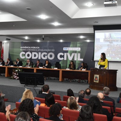 [Audiência Pública sobre a revisão e atualização do Código Civil  ]