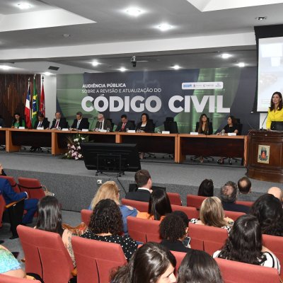 [Audiência Pública sobre a revisão e atualização do Código Civil  ]