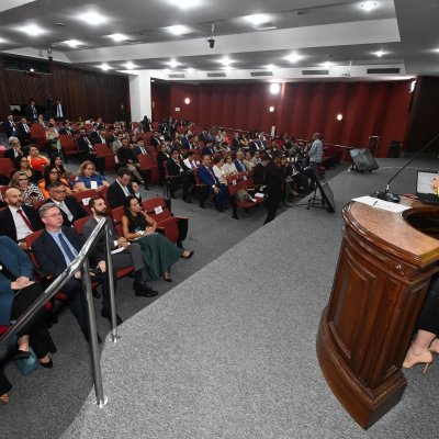 [Audiência Pública sobre a revisão e atualização do Código Civil  ]