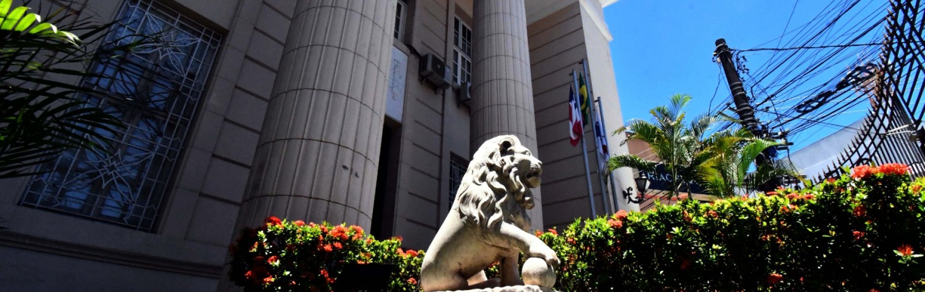 [OAB-BA e OAB Serrinha atuam para impedir captação ilegal de clientes em Teofilândia]