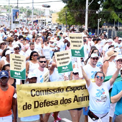 [Mais de 700 advogados esbanjam fé e energia na Lavagem do Bonfim]