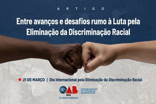 [Entre avanços e desafios rumo à Luta pela Eliminação da Discriminação Racial ]