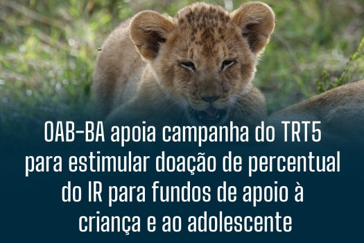 [OAB-BA apoia campanha do TRT5 para estimular doação de percentual do IR para fundos de apoio à criança e ao adolescente]